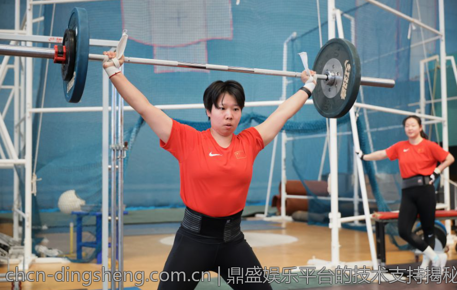 鼎盛娱乐平台的技术支持揭秘